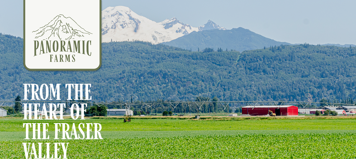 panoramic-farms-header